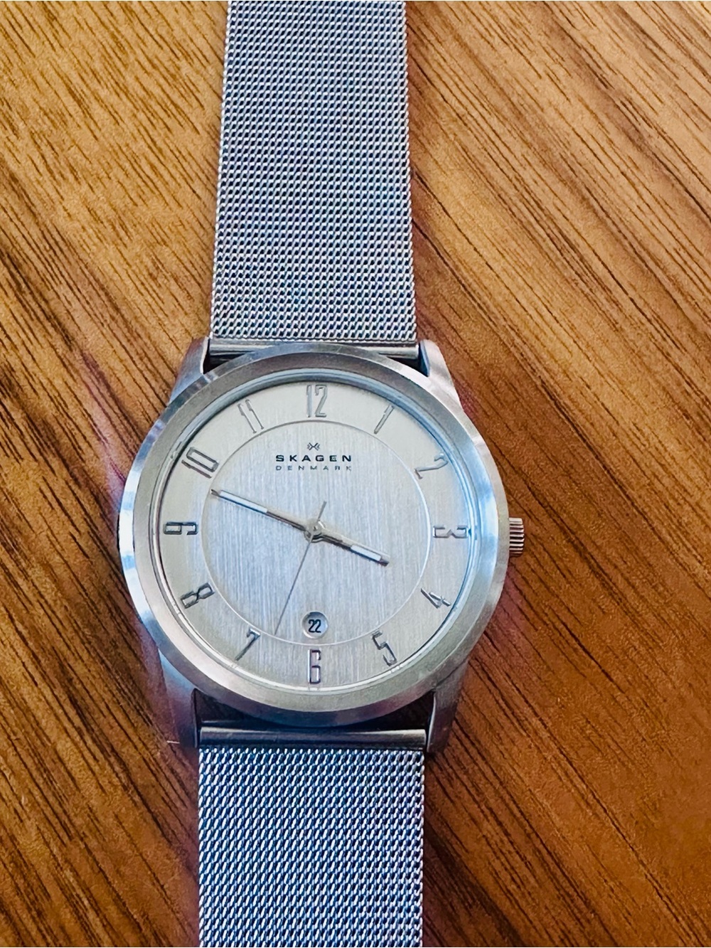 Skagen Silver Mesh Strap Minimalist Stainless Steel Watch
